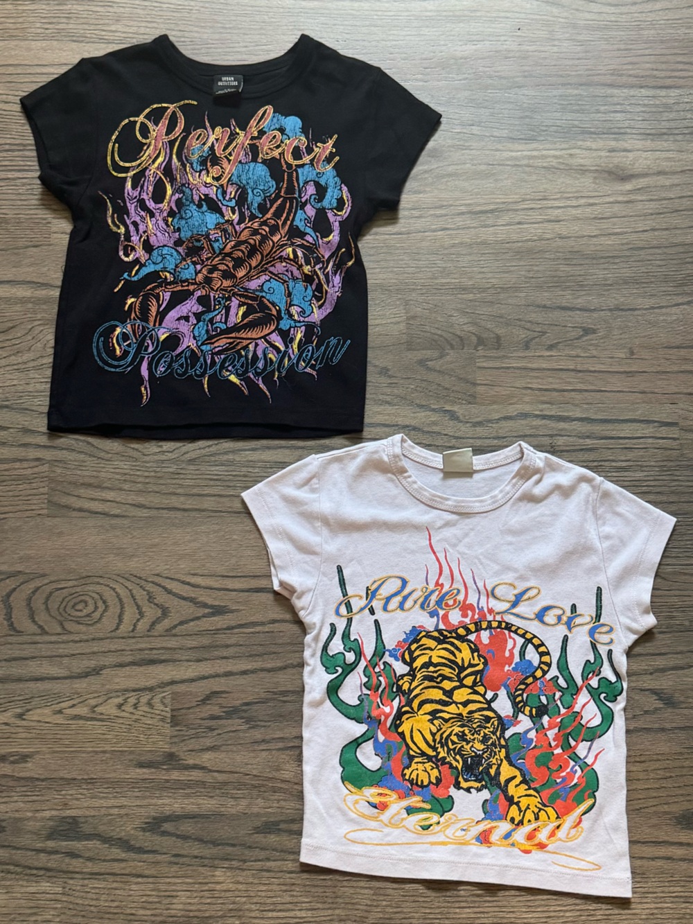 Bundle of 2 Trendy Urban Outfitters Baby Tees!